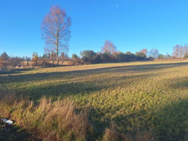 séptima faja hermosas parcelas a 20 min de villarrica desde $28.000.000