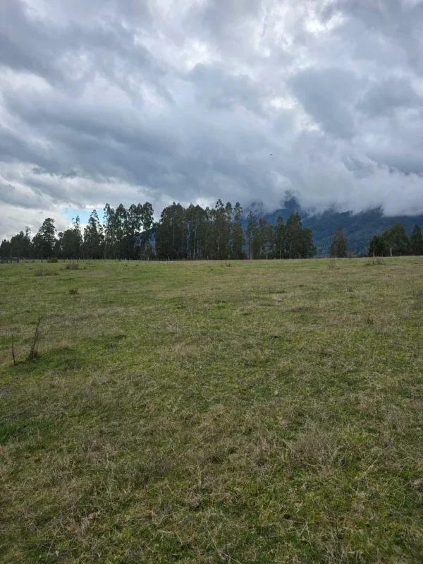 parcelas ruta cunco melipeuco