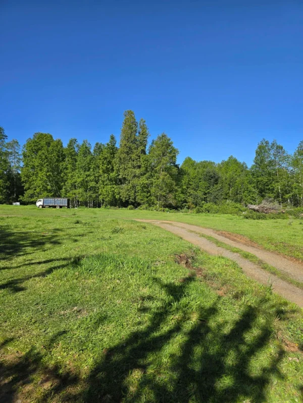 la comarca a solo 10 km de villarrica desde $39.990.000