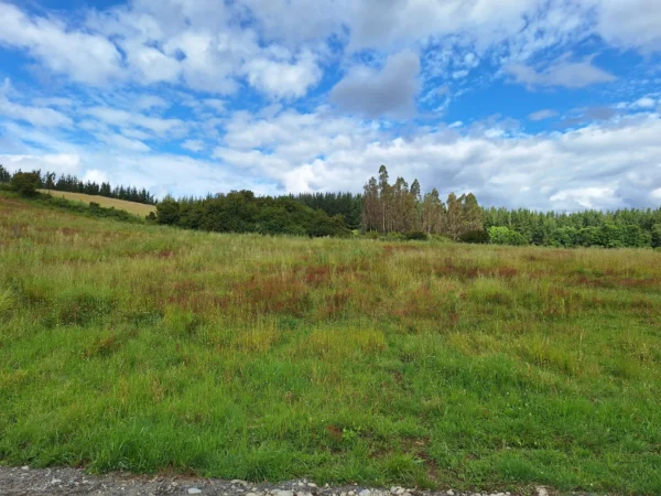 refugio huellanto sexta faja desde $19.990.000