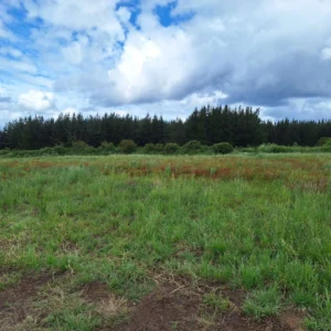 refugio huellanto sexta faja desde $19.990.000