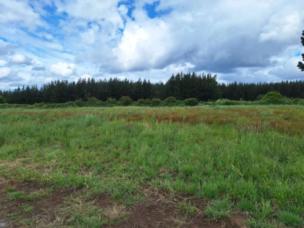 refugio huellanto sexta faja desde $19.990.000