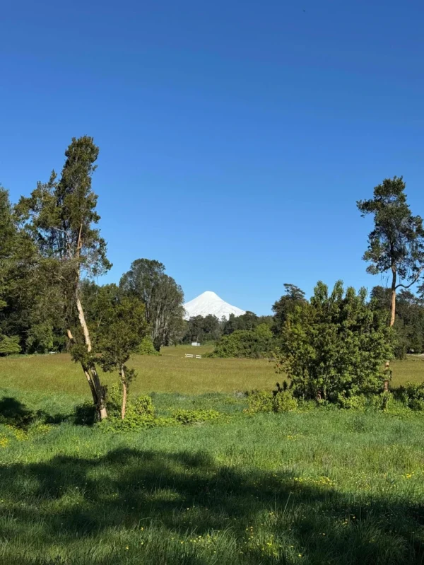 los molinos puerto octay