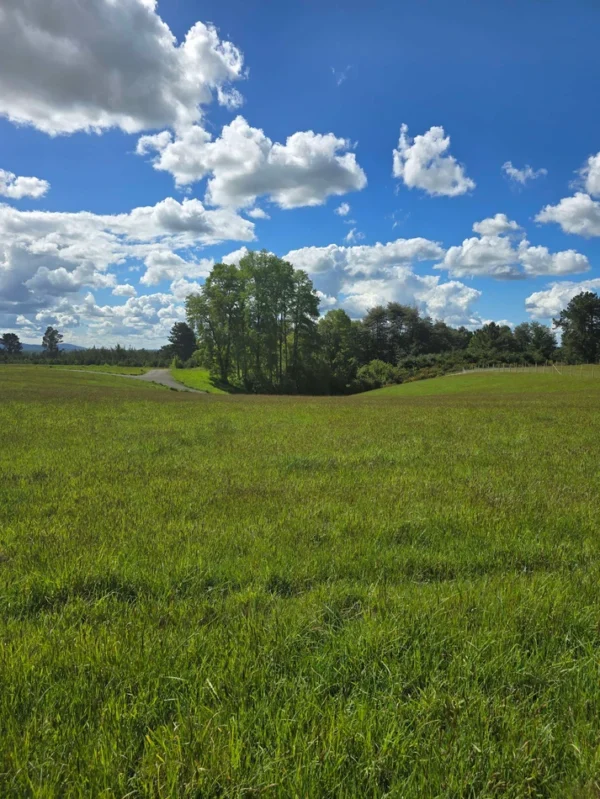 campo san nicolás Últimas parcelas disponibles