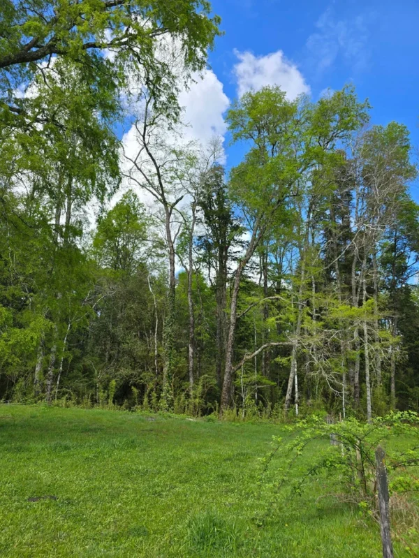 rinconada a solo 15 min de villarrica