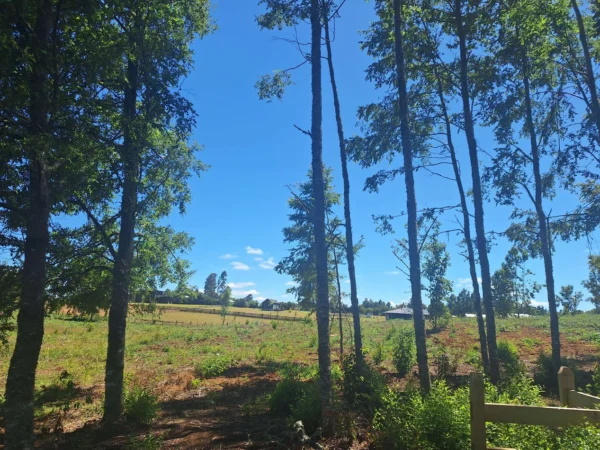 a solo 15 min de villarrica $38.000.000 crédito directo