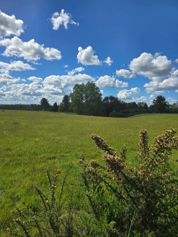 campo san nicolás Últimas parcelas disponibles