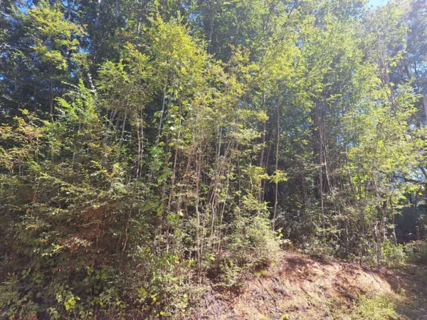 parque nativo sector huaqui $30.000.000 opción de crédito directo