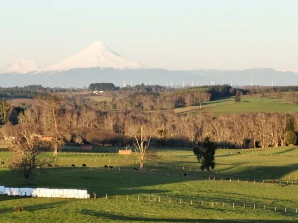 terrazas de crucero desde $25.000.000