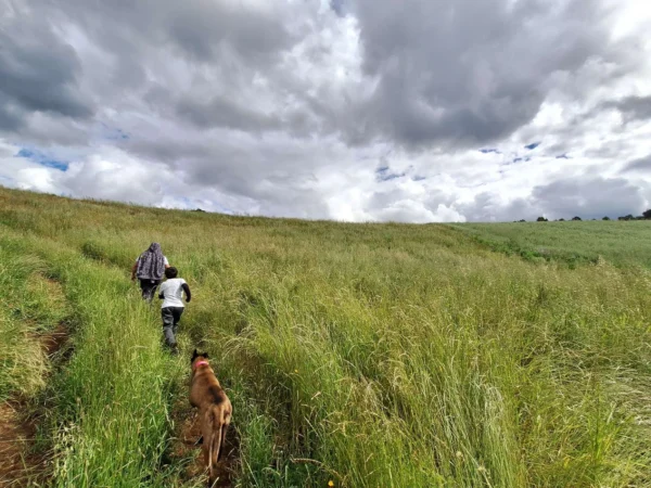 refugio huellanto sexta faja desde $19.990.000