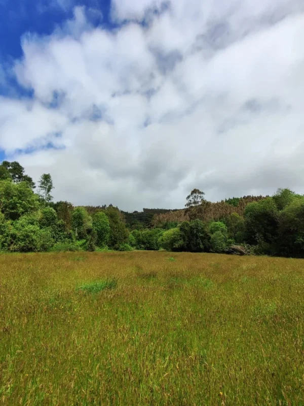 aires de paillaco $23.990.000