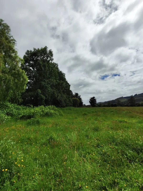 aires de paillaco $23.990.000