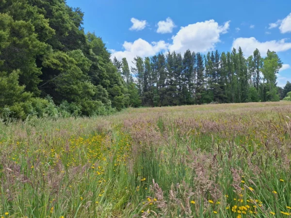fundo santa clara $24.990.000 Últimas parcelas