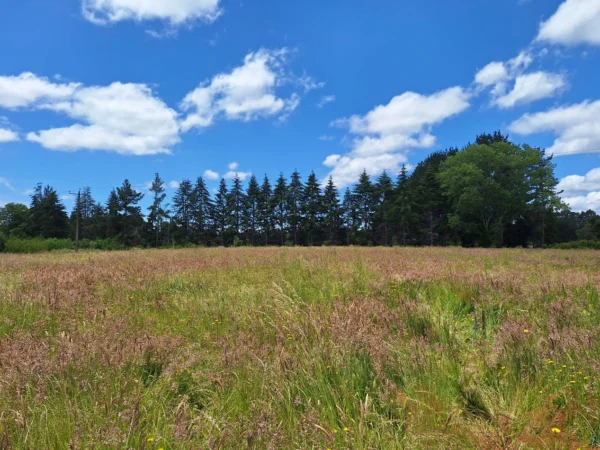 fundo santa clara $24.990.000 Últimas parcelas