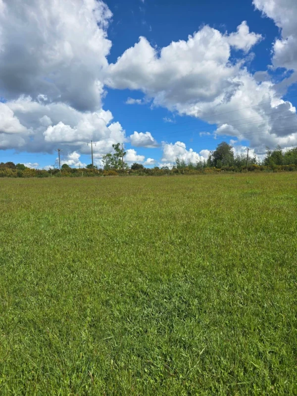 campo san nicolás Últimas parcelas disponibles