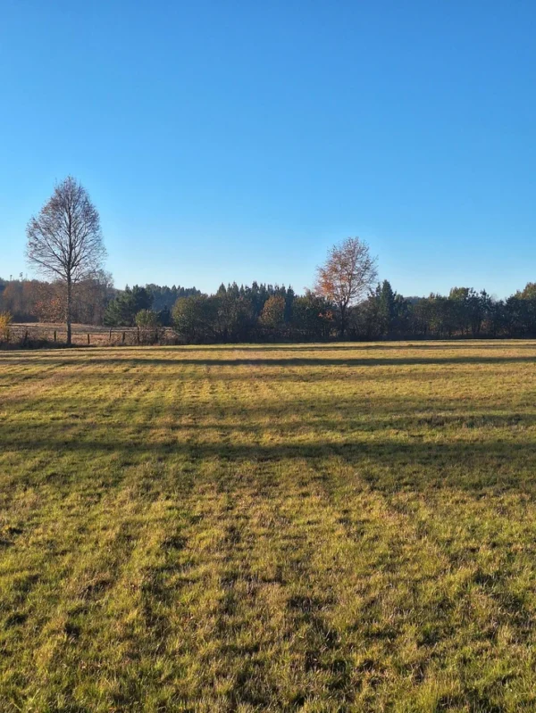 séptima faja hermosas parcelas a 20 min de villarrica desde $28.000.000