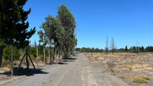 fundo del itata Últimas 2 parcelas