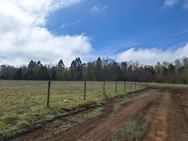 a 20 min de villarrica parcelas con luz, agua y cercadas