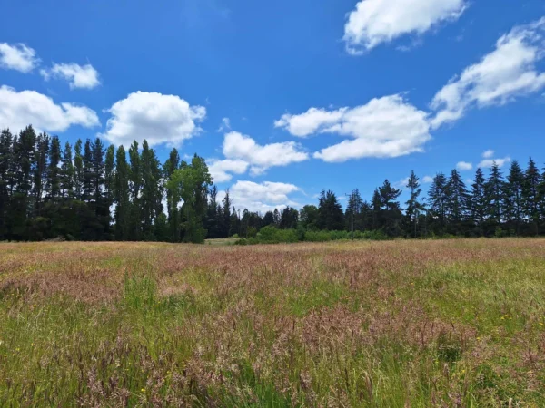 fundo santa clara $24.990.000 Últimas parcelas