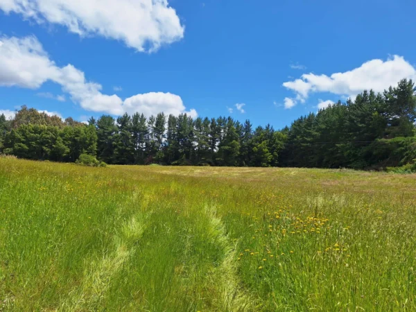 fundo santa clara $24.990.000 Últimas parcelas