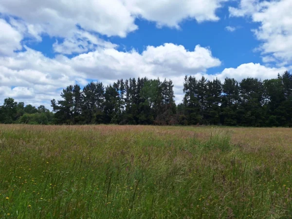 fundo santa clara $24.990.000 Últimas parcelas