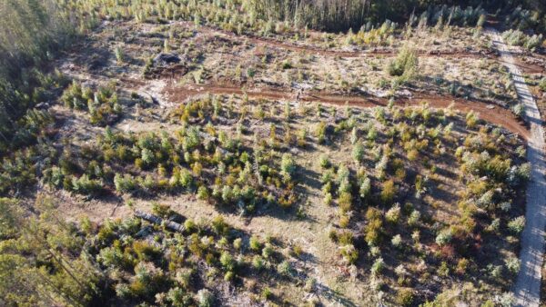 parcela de 1,9 hectáreas loncoche $39.990.000