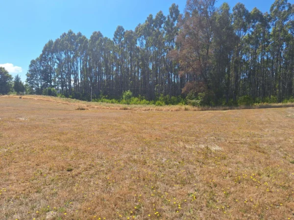 parque nativo sector huaqui $30.000.000 opción de crédito directo