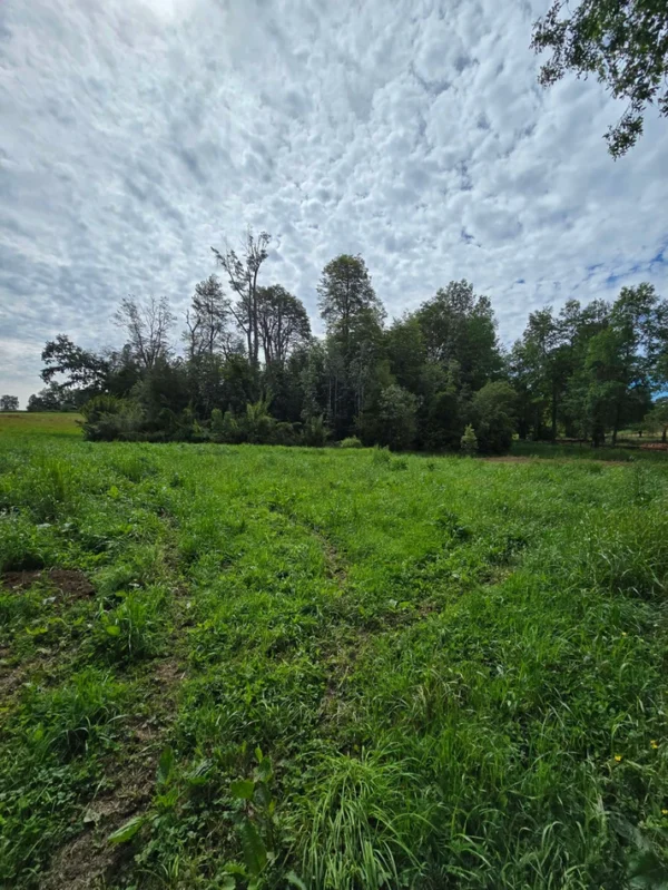rinconada a solo 15 min de villarrica