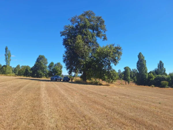 séptima faja hermosas parcelas a 20 min de villarrica desde $28.000.000