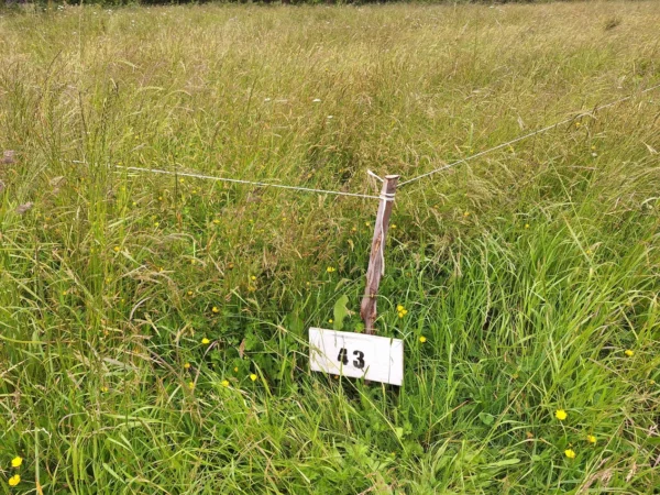 aires de paillaco $23.990.000