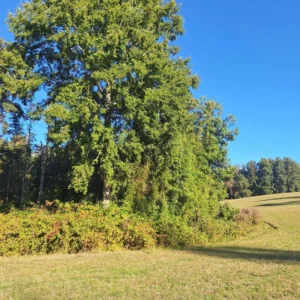 rinconada a solo 15 min de villarrica