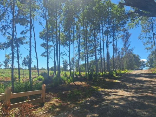 a solo 15 min de villarrica $38.000.000 crédito directo