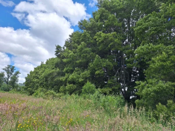 fundo santa clara $24.990.000 Últimas parcelas