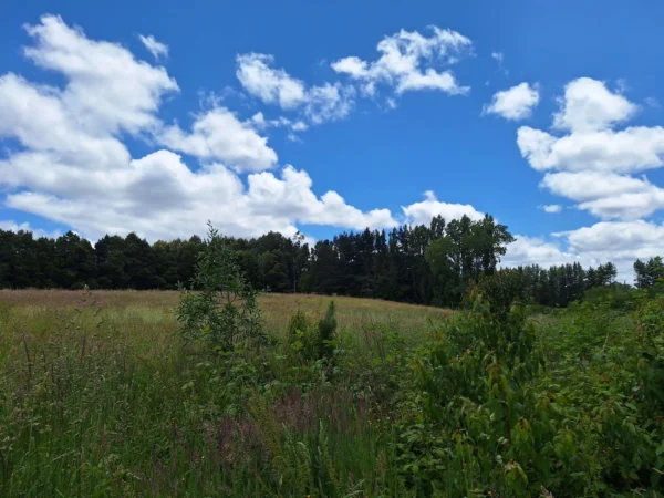 fundo santa clara $24.990.000 Últimas parcelas