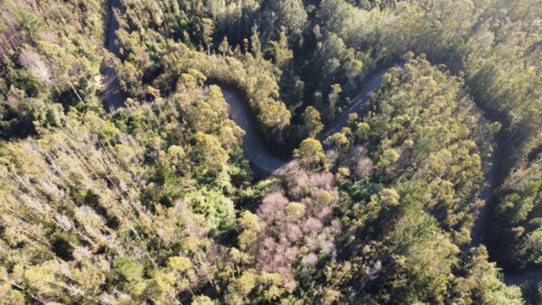 parcela de 1,9 hectáreas loncoche $39.990.000