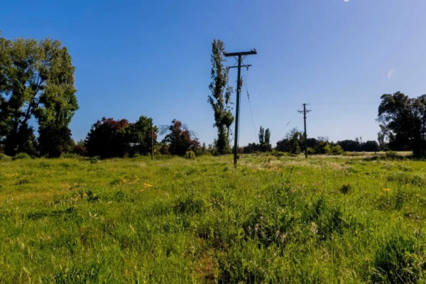 verde pradera 1 y 2 desde $15.990.000 crédito directo