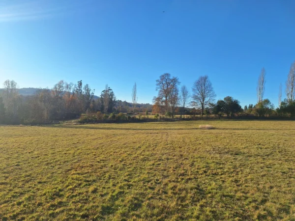 séptima faja hermosas parcelas a 20 min de villarrica desde $28.000.000