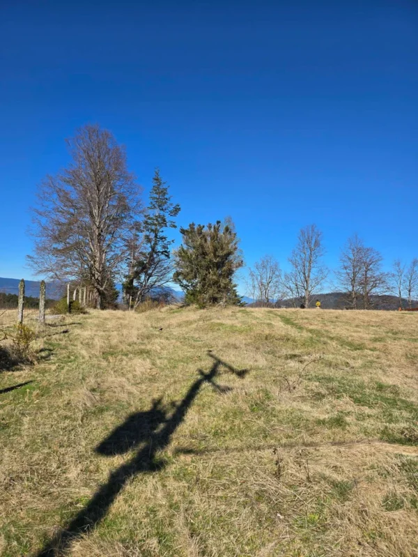 parcelas pino huacho lican ray