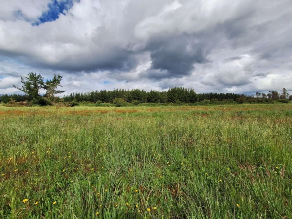 refugio huellanto sexta faja desde $19.990.000