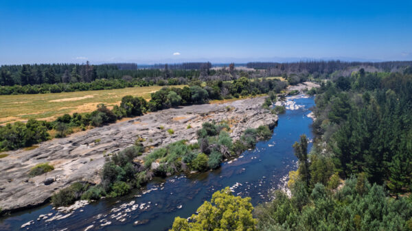 fundo del itata Últimas 2 parcelas