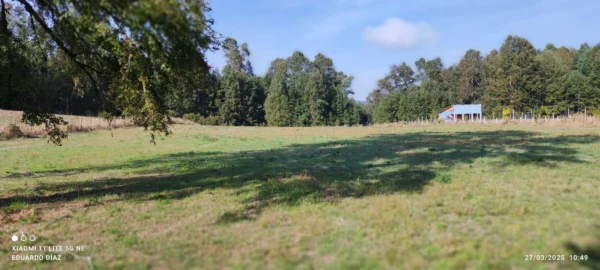 parcelas en relún a 15 km de villarrica