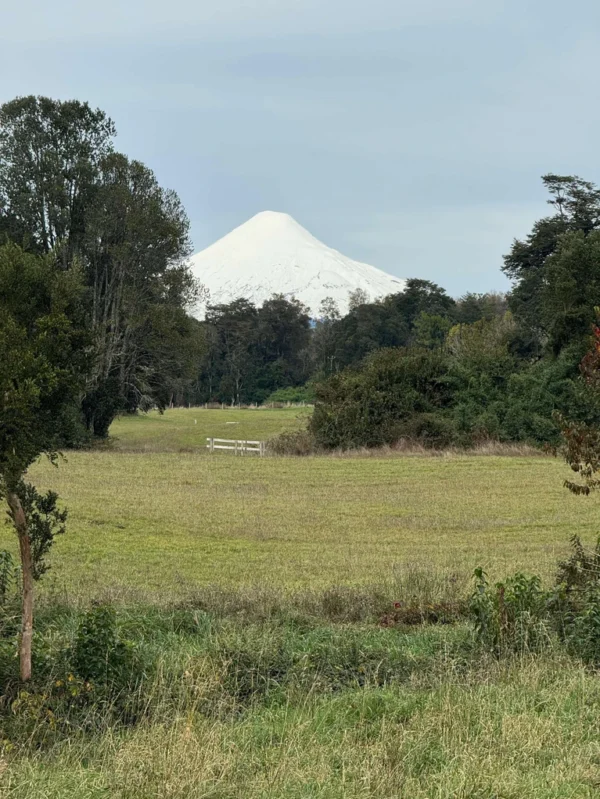 los molinos puerto octay