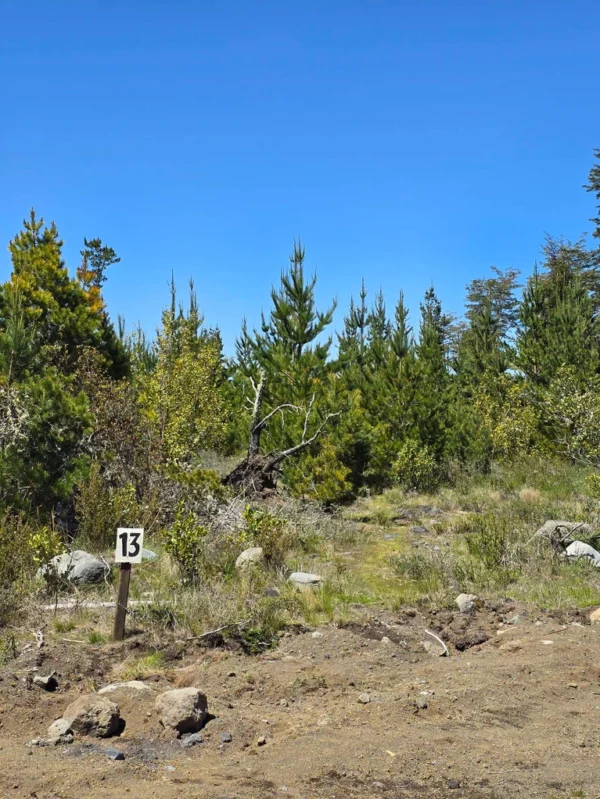 parcelas a minutos del lago calafquén $30.000.000