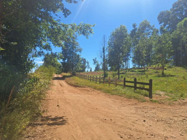 a solo 15 min de villarrica $38.000.000 crédito directo