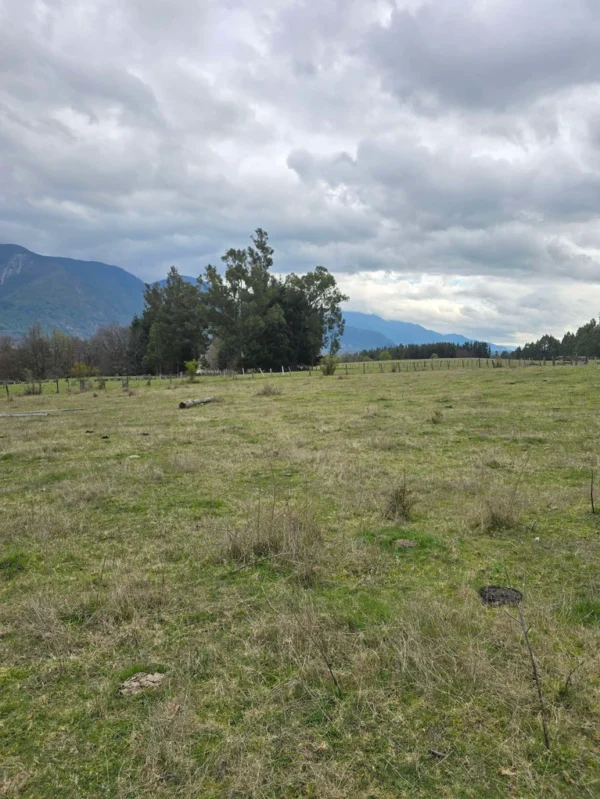 parcelas ruta cunco melipeuco