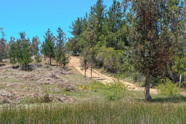 valle san andrés yumbel desde $23.990.000