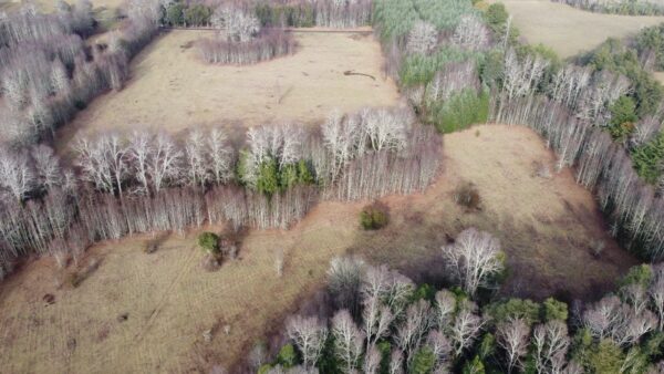 raíces de relún a 15 km de villarrica