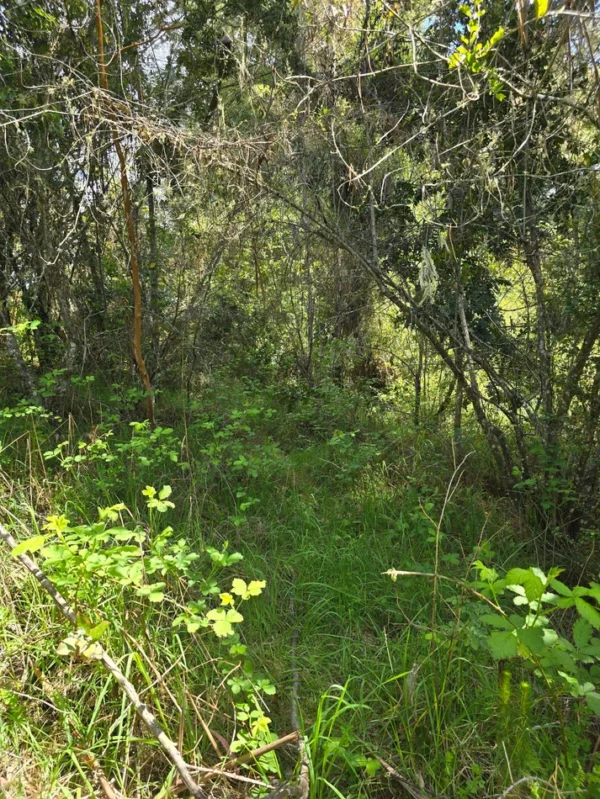 campo san nicolás Últimas parcelas disponibles