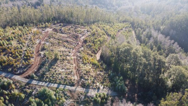 parcela de 1,9 hectáreas loncoche $39.990.000