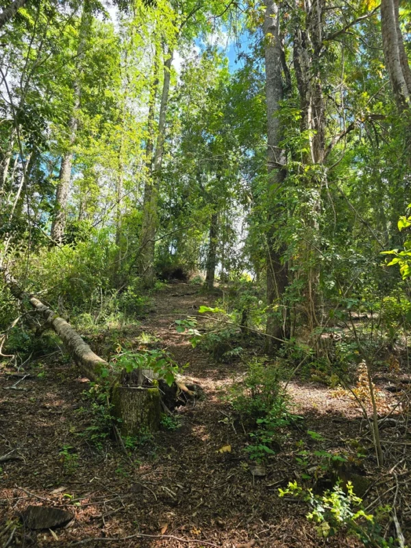 campo san nicolás Últimas parcelas disponibles